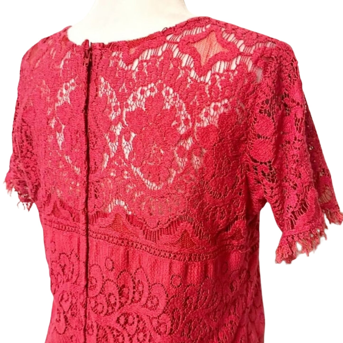 Free People Red Illusion Lace Mini Dress Size 6