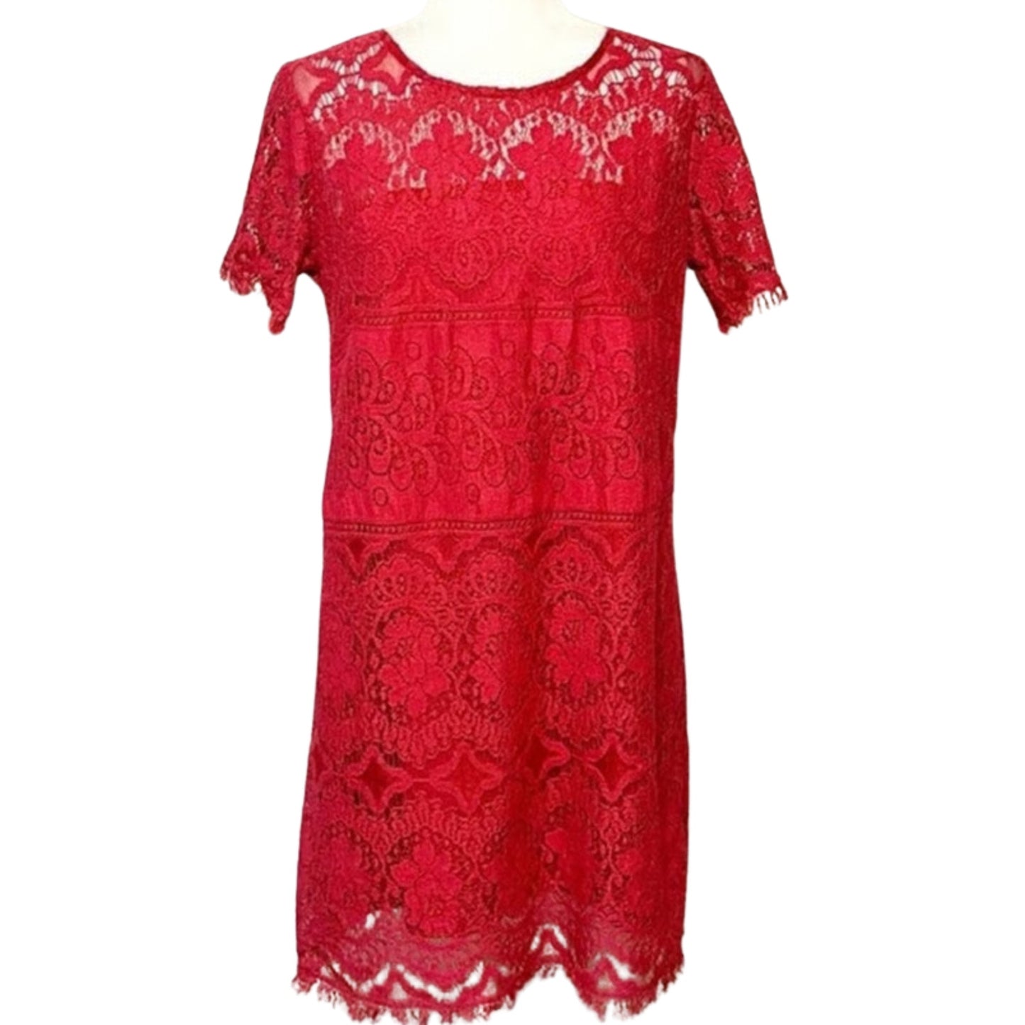 Free People Red Illusion Lace Mini Dress Size 6