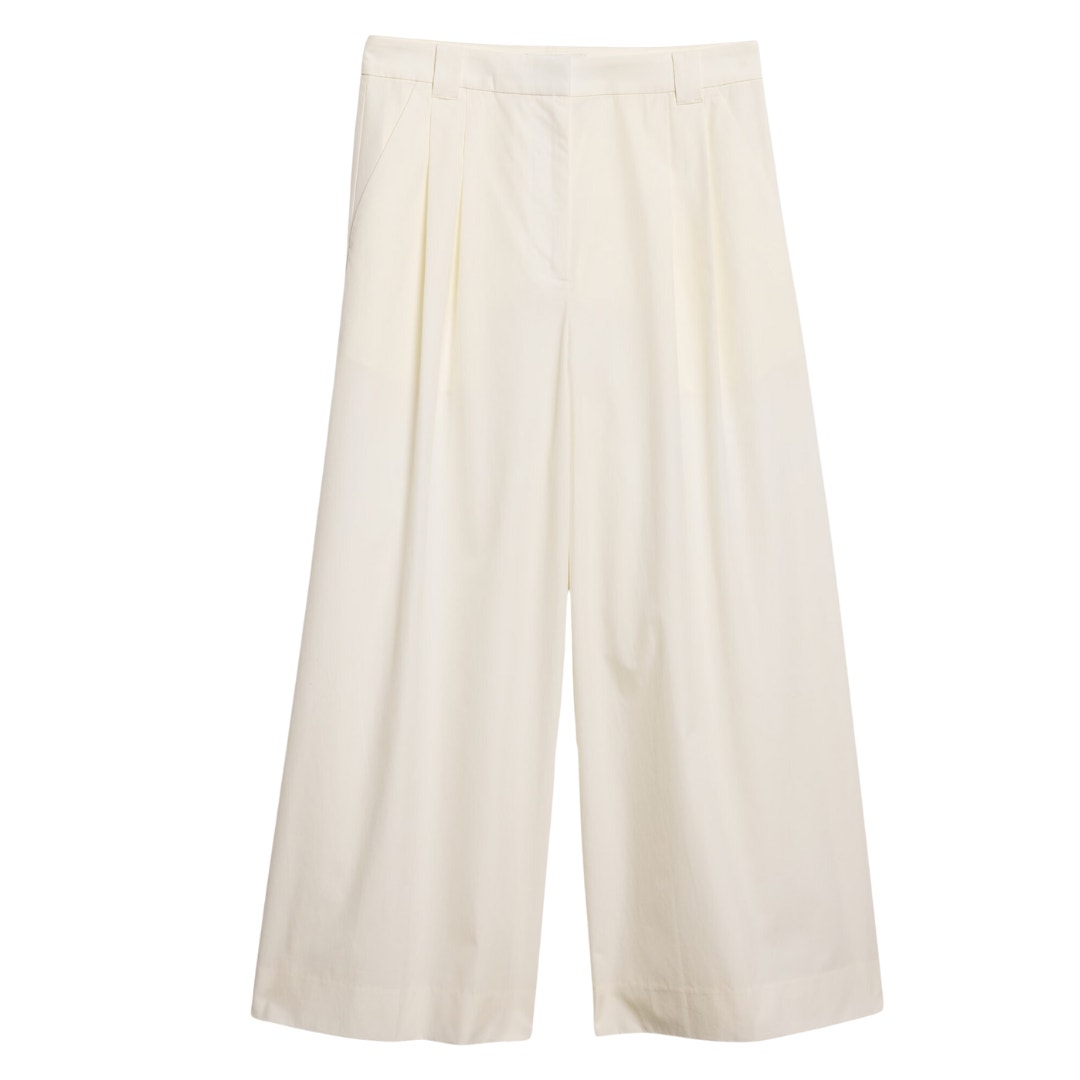 Banana Republic Pleated Wide Leg Petite Pant in Iced Ivory NWT Size 00