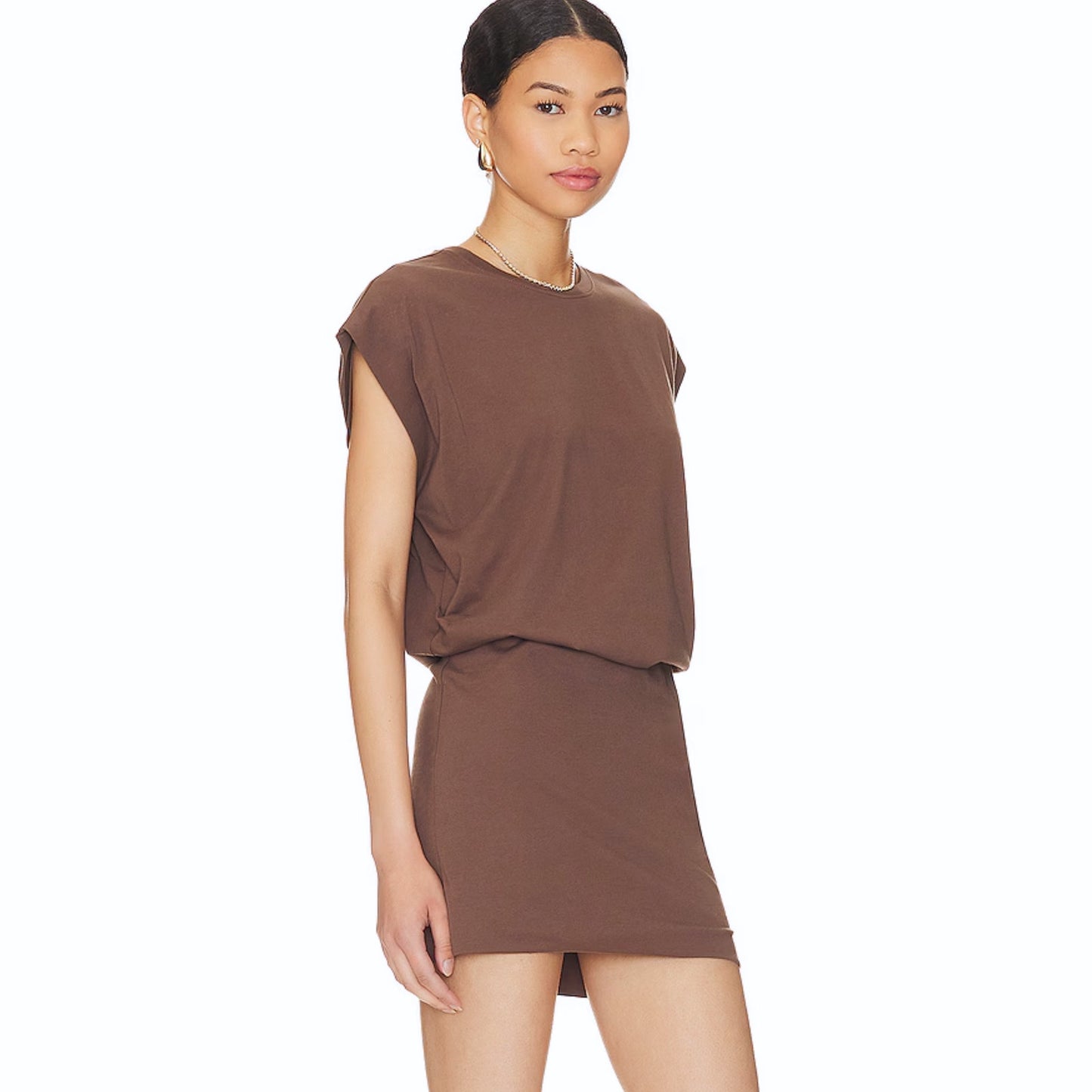 PISTOLA Tonya Mini Dress in Mushroom NWT Size XL